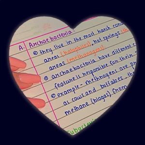 Meet your Posher, Mukta